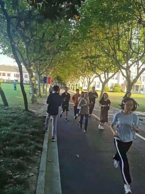 校园生活,校园生活点滴回顾